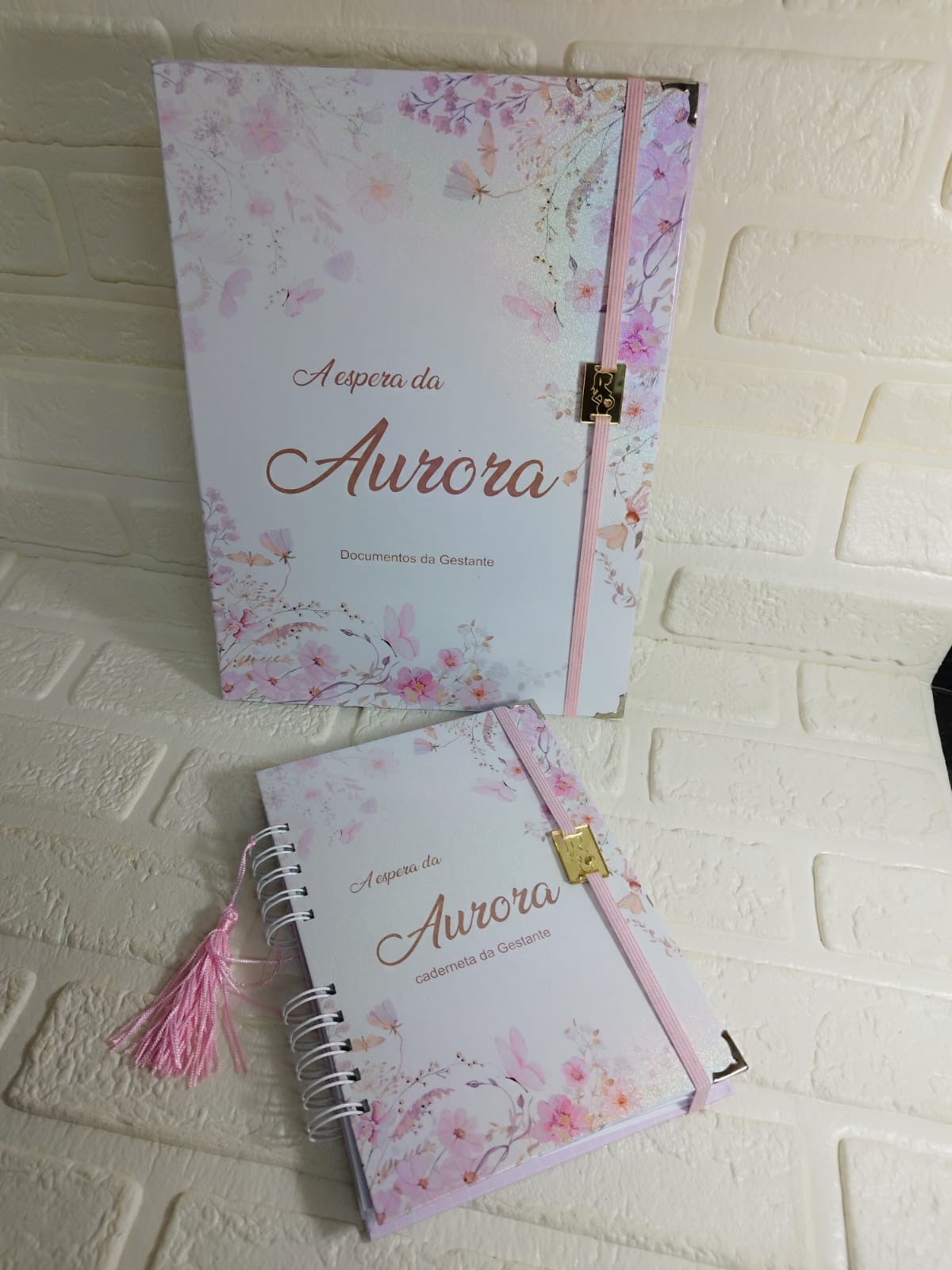 Diário da Gestante e Porta documentos Grande